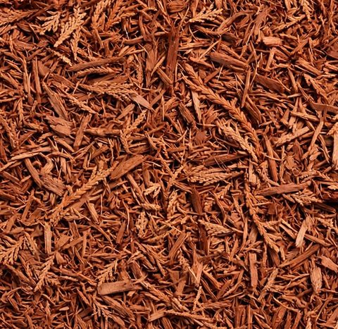 Cedar mulch